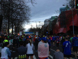 crowd before race